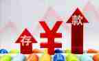 2024年存款保险活动总结7篇