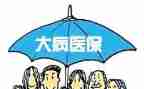 2024年大病救助申请书模板5篇