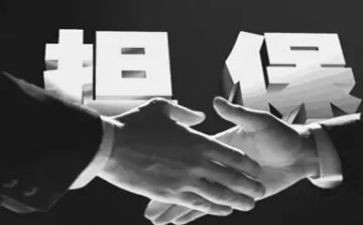 借款担保人合同7篇