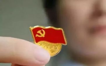 党会心得体会300字最新7篇