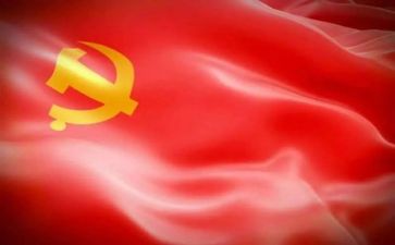 党调查报告300字6篇