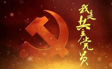 党个人总结报告精选8篇