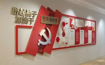 党建工作总结个人总结7篇