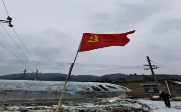 入党员转正申请书范文模板7篇