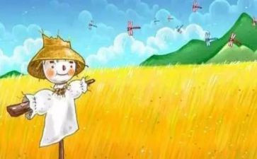 稻草稻草人读后感通用6篇