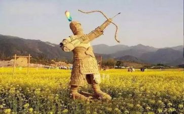 稻草稻草人读后感优秀6篇
