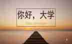 2023年大学心得体会优秀5篇