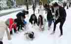 打雪仗的小学生作文6篇