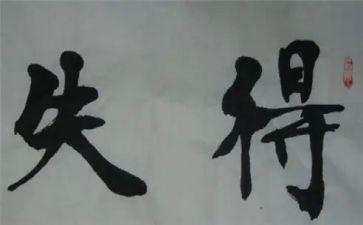 个人总结得与失的作文7篇