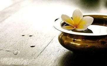 个人得与失年终总结7篇