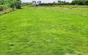 去工地量心得体会优秀5篇
