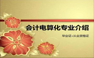 电算化会计心得体会6篇