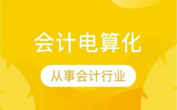 电算化实习心得体会8篇