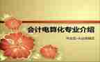 电算化会计心得体会6篇