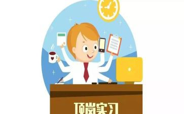 大学生顶岗个人总结范文7篇