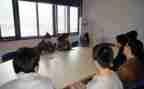 顶岗教学心得体会5篇