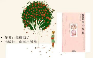打豆豆教案5篇