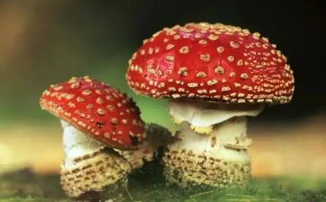 禁毒竞赛心得体会6篇