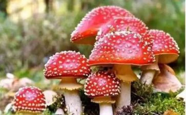 防毒的心得体会6篇