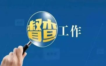 个人督查室工作总结6篇