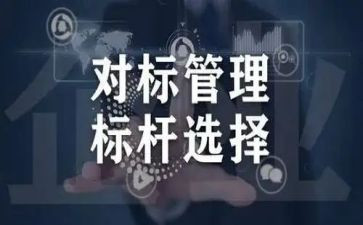 高校学生对标心得体会8篇