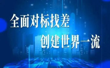 政治对标心得体会8篇