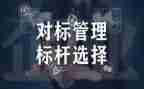 高校学生对标心得体会8篇