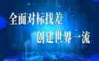政治对标心得体会8篇