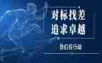 对标管理的心得体会优秀7篇