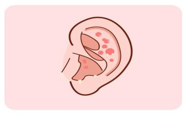 耳边的声音作文最新8篇