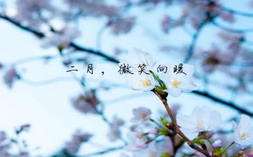 第二月工作总结模板5篇