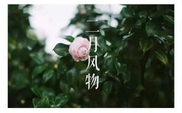 第二月工作总结最新5篇