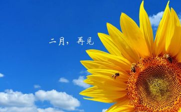 二月的工作总结最新5篇