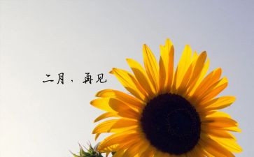 十二月份幼儿园大班工作总结6篇