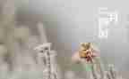 第二月工作总结通用7篇