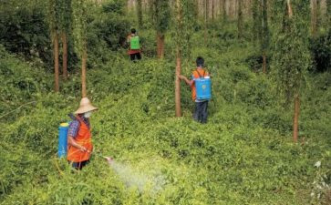 肿瘤防治宣传周活动总结5篇