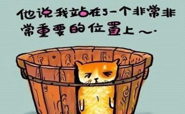 圆教案反思6篇