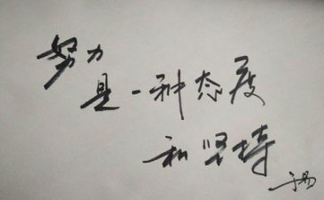 各种各样的票反思5篇