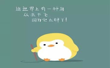 讲种子肥的演讲稿8篇