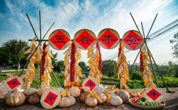 农民丰收节工作总结5篇
