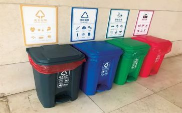 分类垃圾活动总结模板6篇