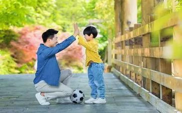 阅读父与子的体会心得推荐7篇