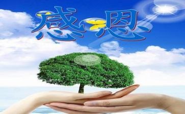 关于感恩的作文800字6篇