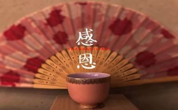 感恩活动的活动心得最新8篇