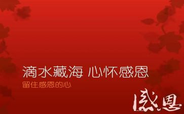 感恩帐心得体会优秀6篇