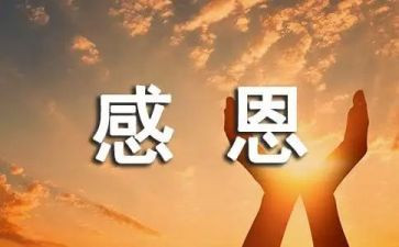 关于感恩600字的作文6篇