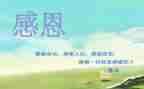 感恩心得体会800字6篇