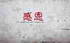 我感谢的作文推荐5篇