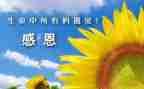 幼儿园感谢演讲稿5篇