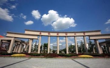 高校教师个人述职报告8篇